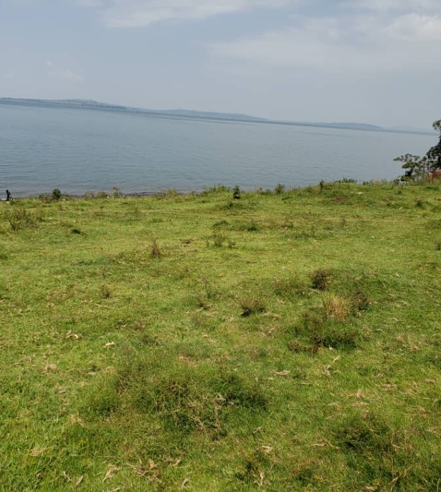 WhatsApp Image 2022-07-15 at 8.50.36 PM.jpeg